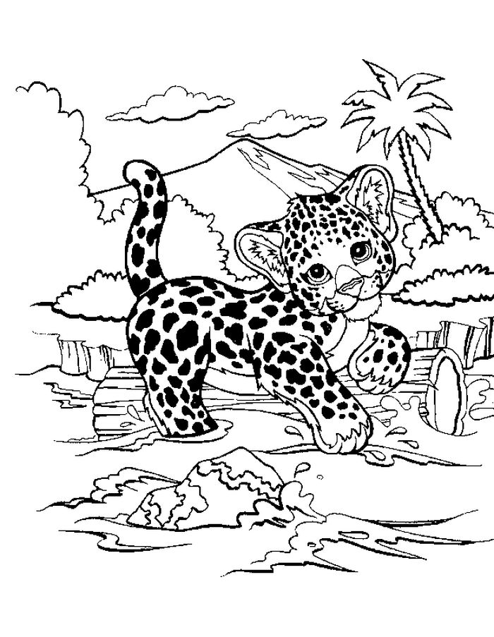 Animal Jam Snow Leopard Coloring Pages