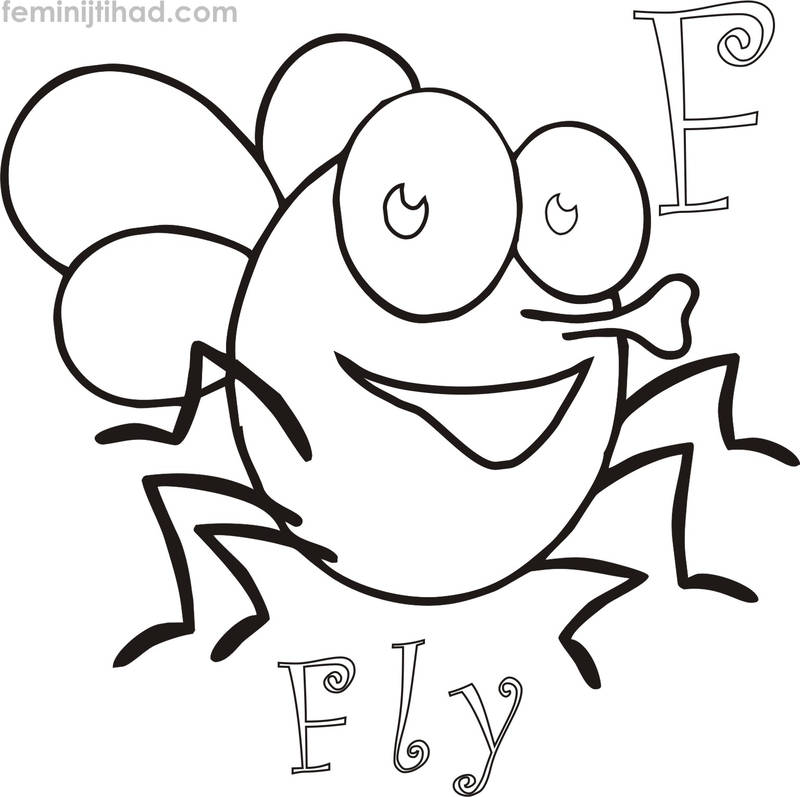 Animated Fly Coloring Pages