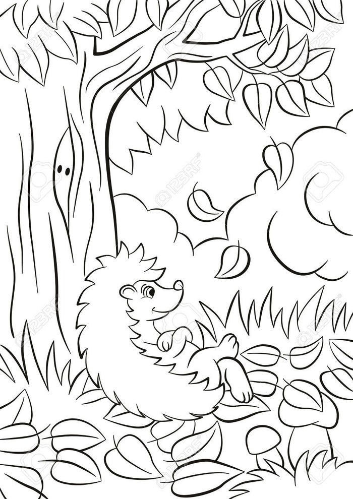 Autumn Coloring Pages For Adults