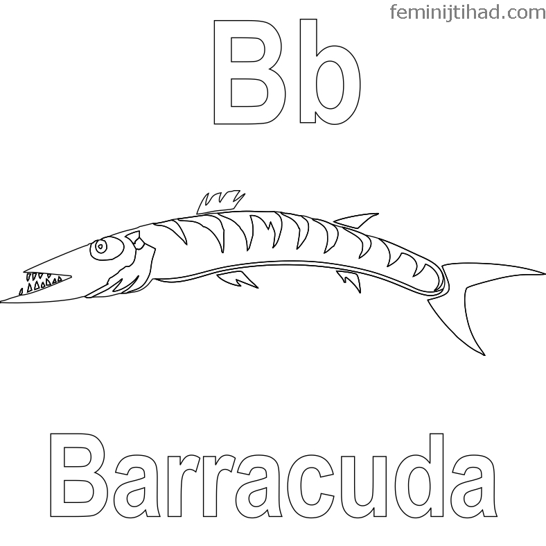 Barracuda Fish Coloring to Print