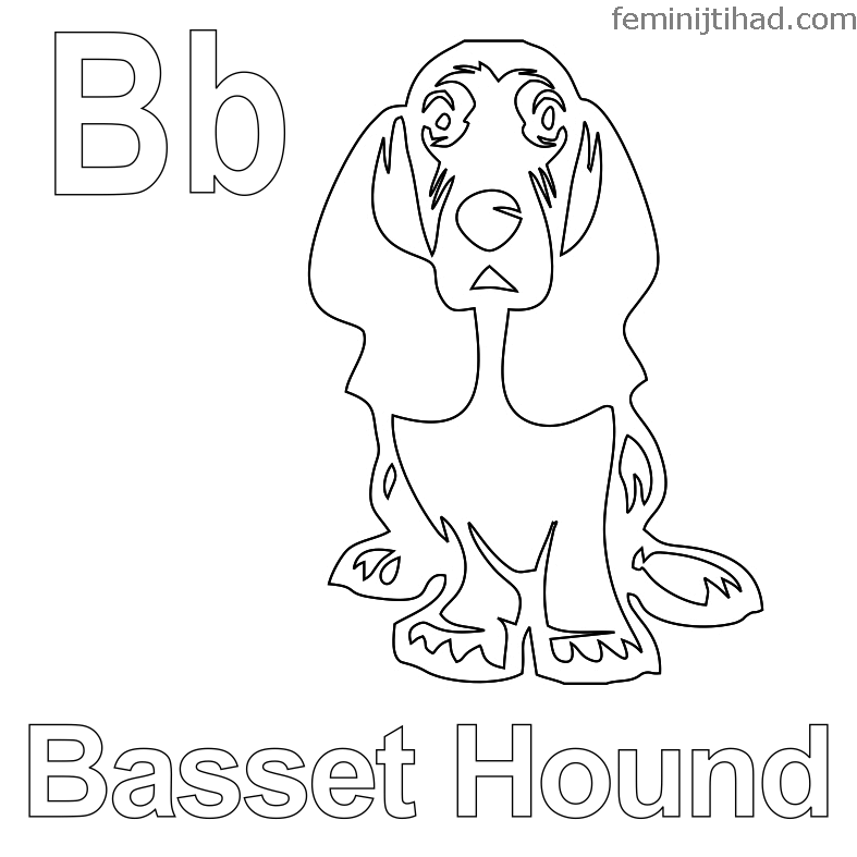 Basset Hound Coloring Page