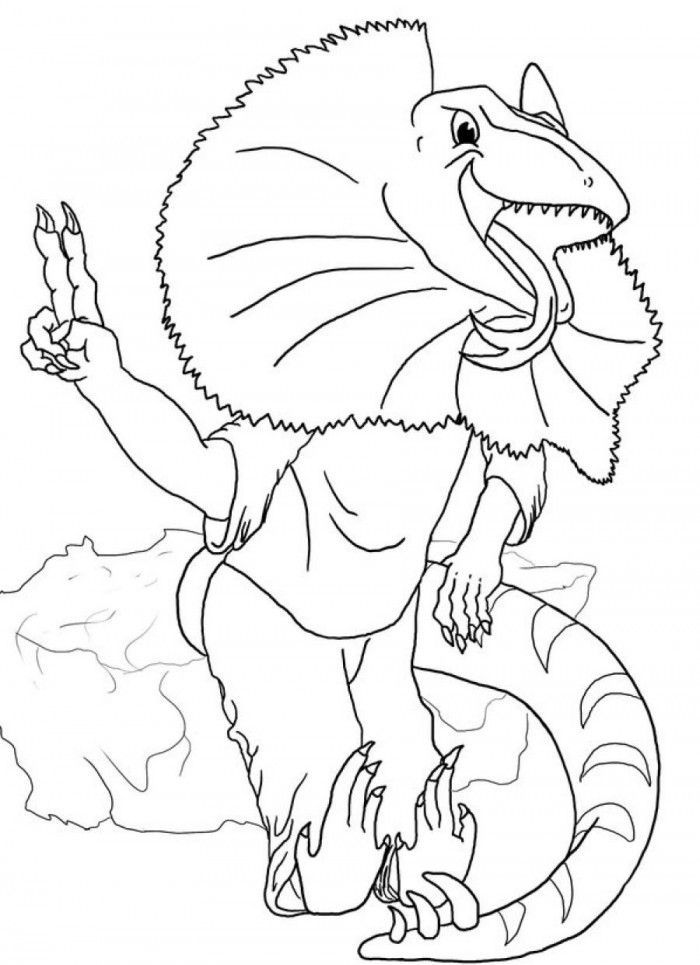 Bearded Dragon Lizard Coloring Pages