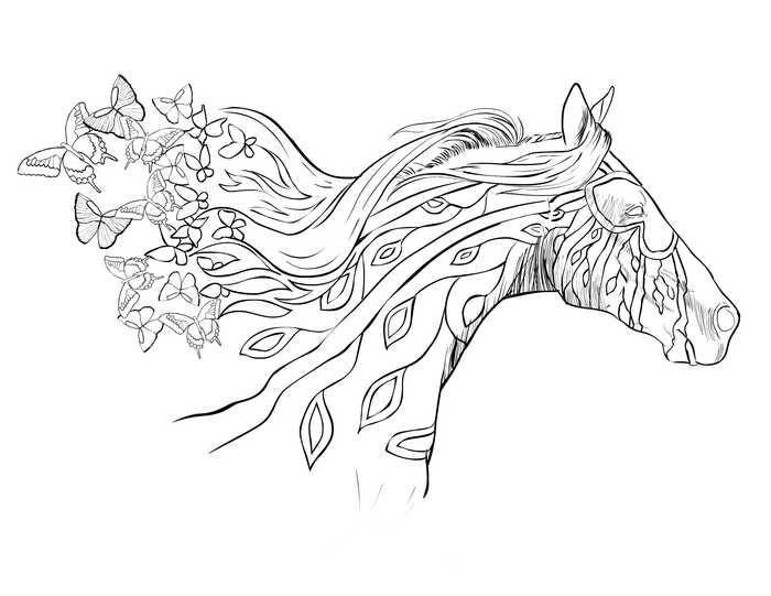 Beautiful Horse Coloring Page Image