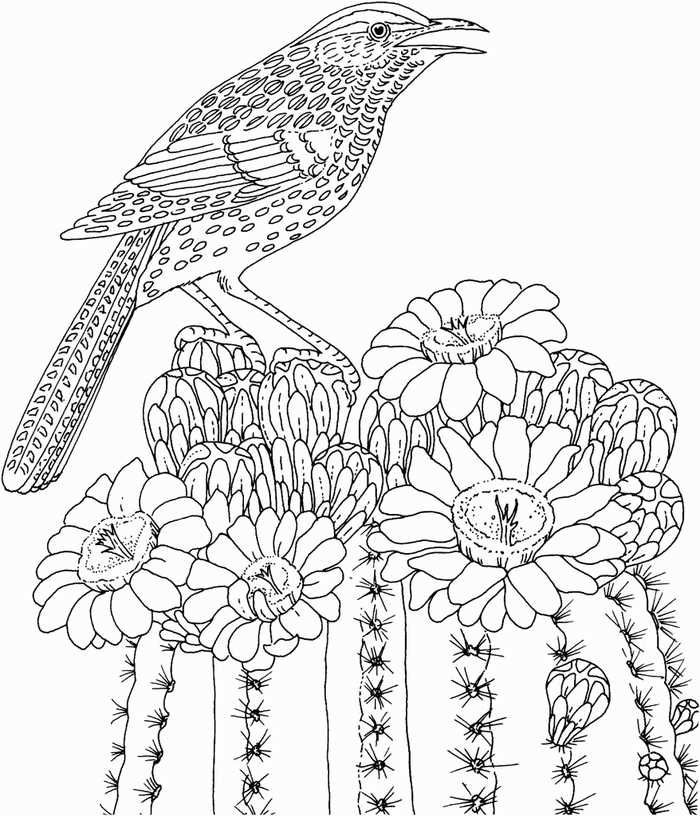 Bird And Flower Coloring Page For Adults