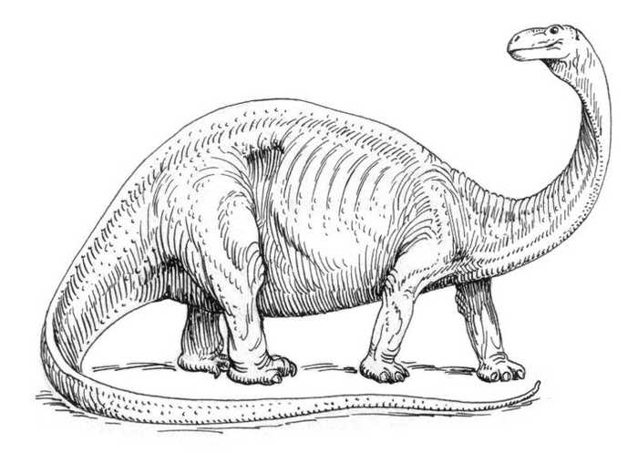 Brontosaurus Dinosaur Coloring Pages