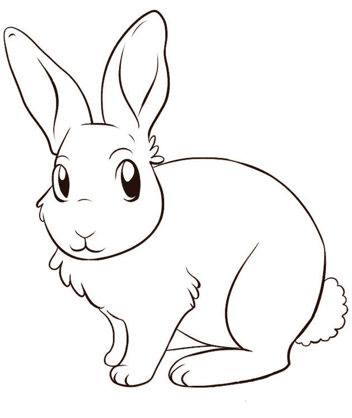 Bunny Rabbit Coloring Pages