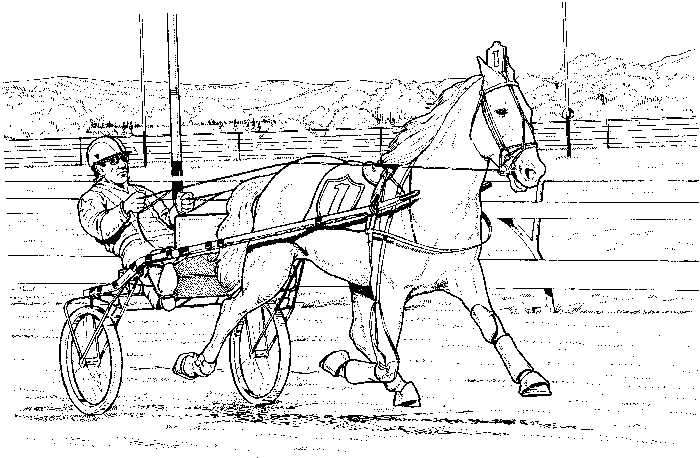 Carriage Harness Racing Coloring Page