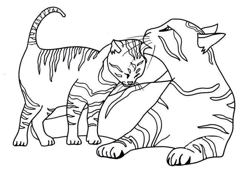 Cat Coloring Pages To Print