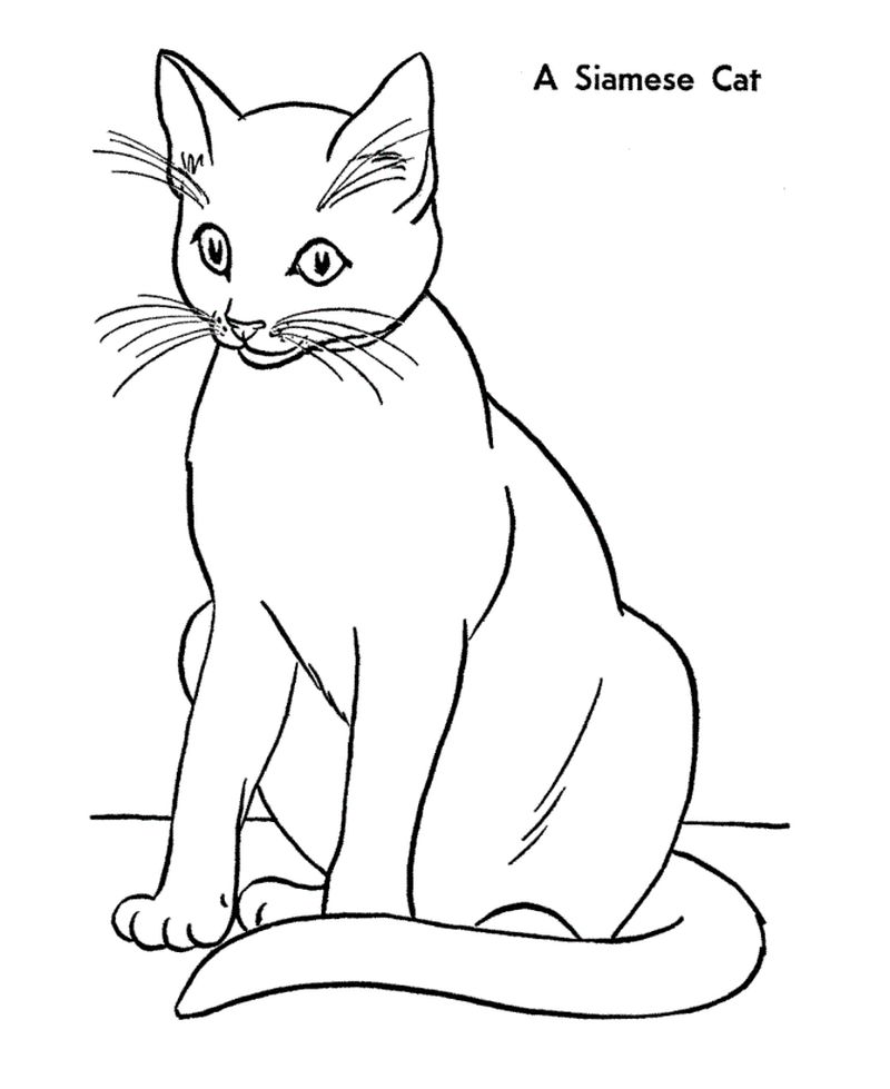 Cheshire Cat Coloring Pages