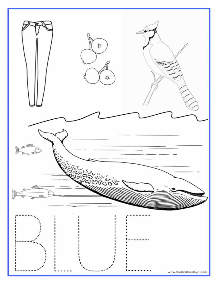 Color Blue Kindergarten Coloring Pages