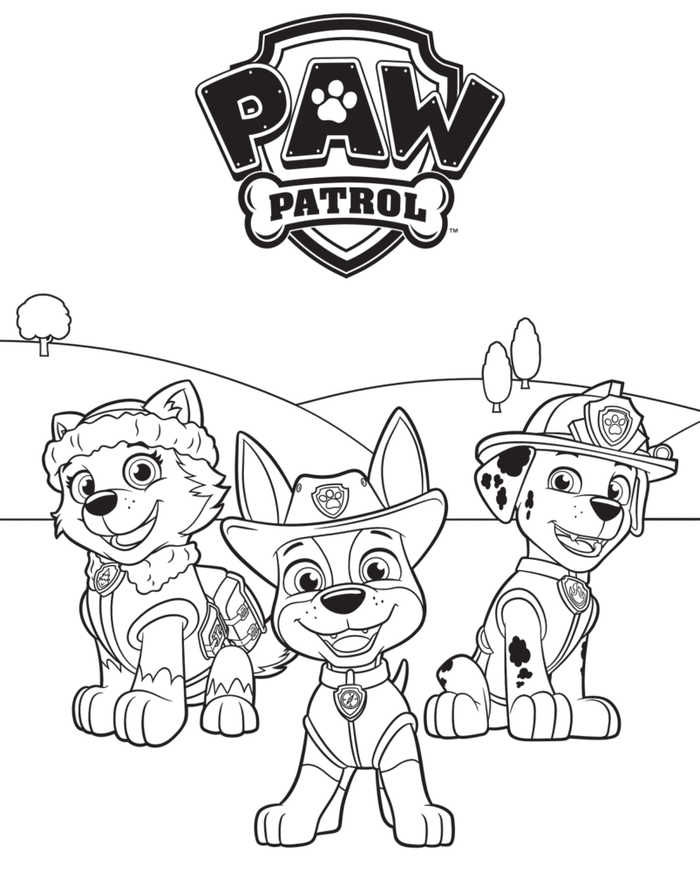 Color Paw Patrol