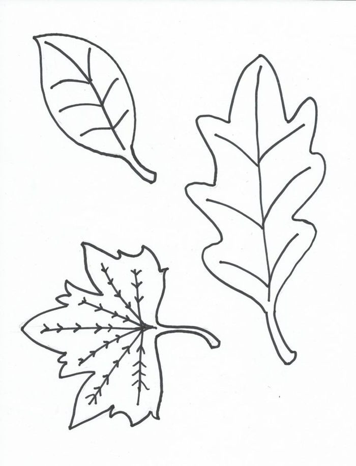 Coloring Pages Autumn