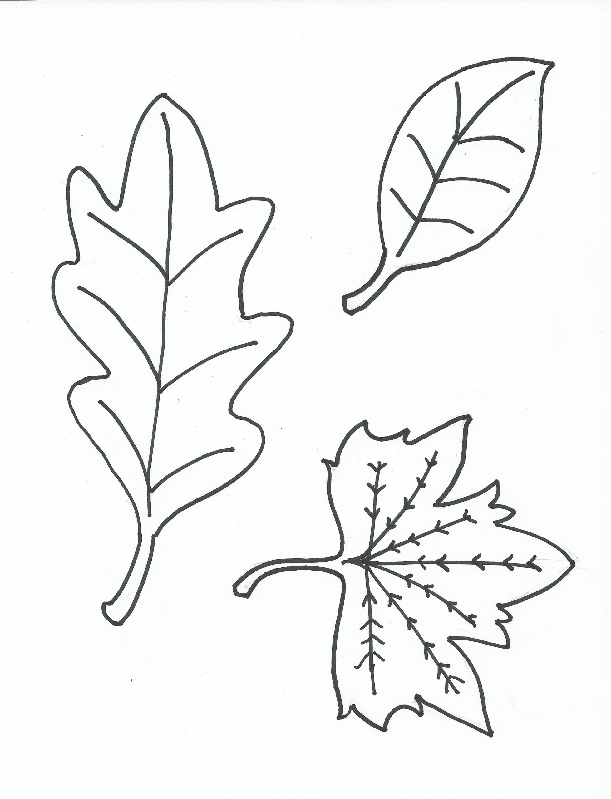 coloring pages fall leaves