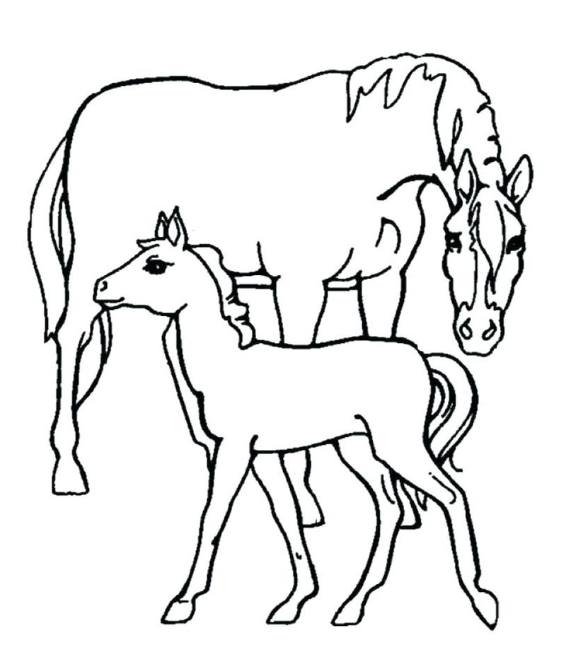 Coloring Pages Farm