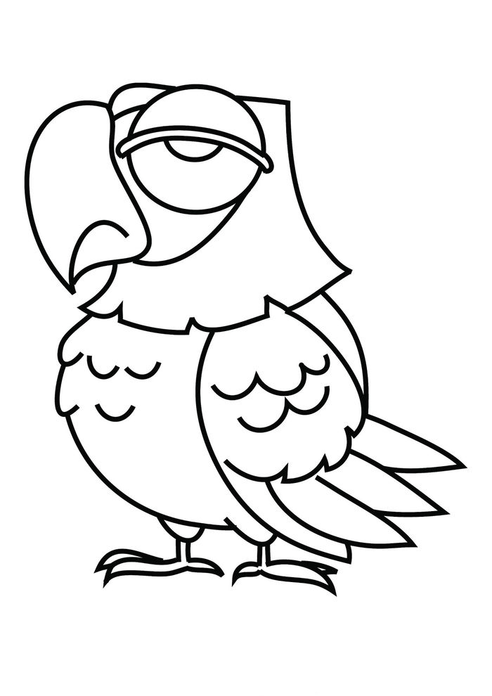 Coloring Pages Pdf Parrot