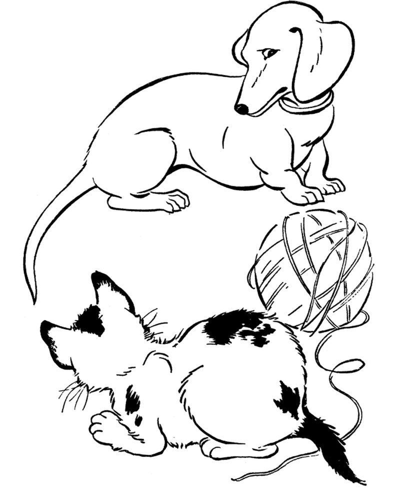 Coloring Pages of Cats and Dogs