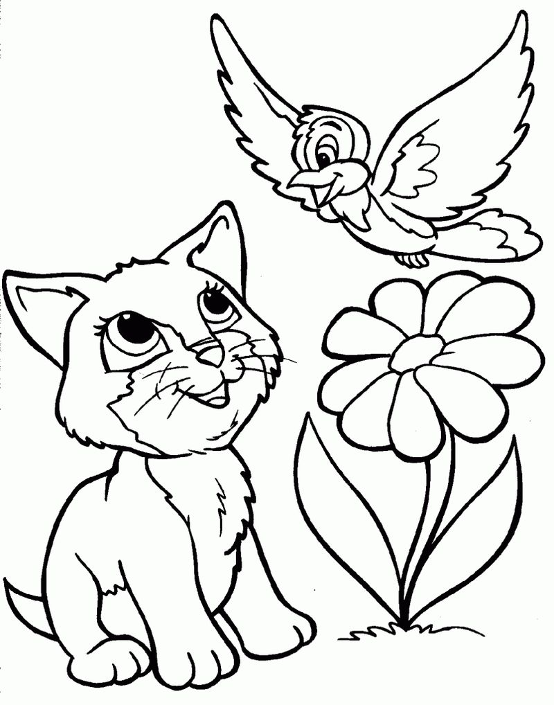 Coloring Pages of Cats