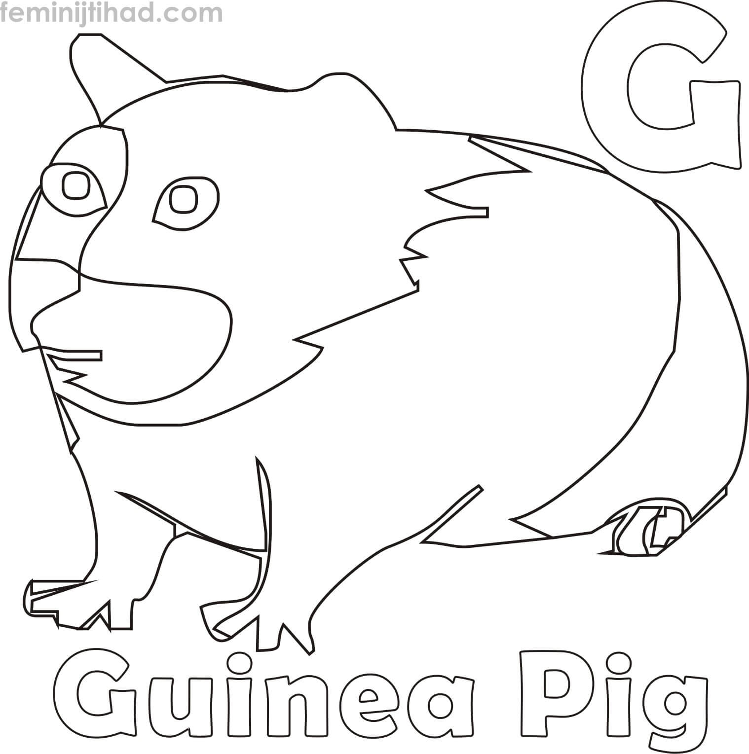 Coloring Page of Guinea Pig free