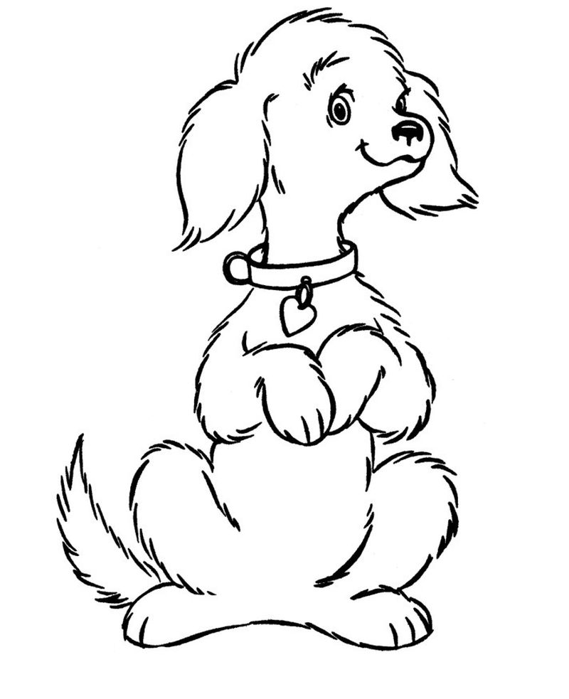 Cute Dogs Coloring Pages