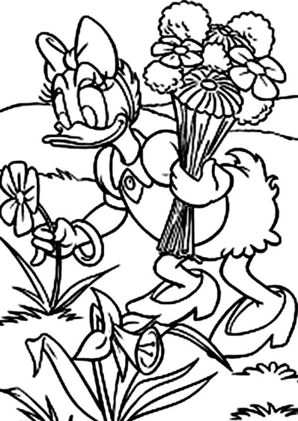 Daisy Duck Pick Flowers At Garden Coloring Page Coloring Sun