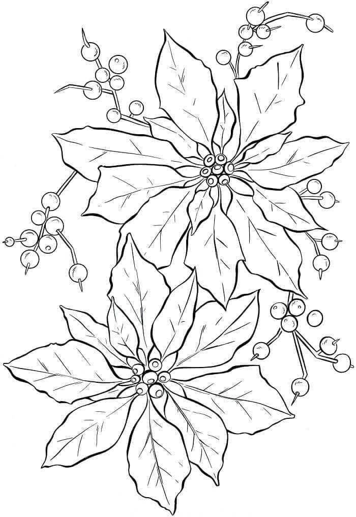 December Flower Poinsettia Coloring Page