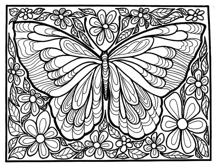 Detailed Butterfly Coloring Pages