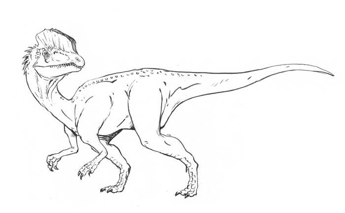 Dilophosaurus Dinosaur Coloring Page