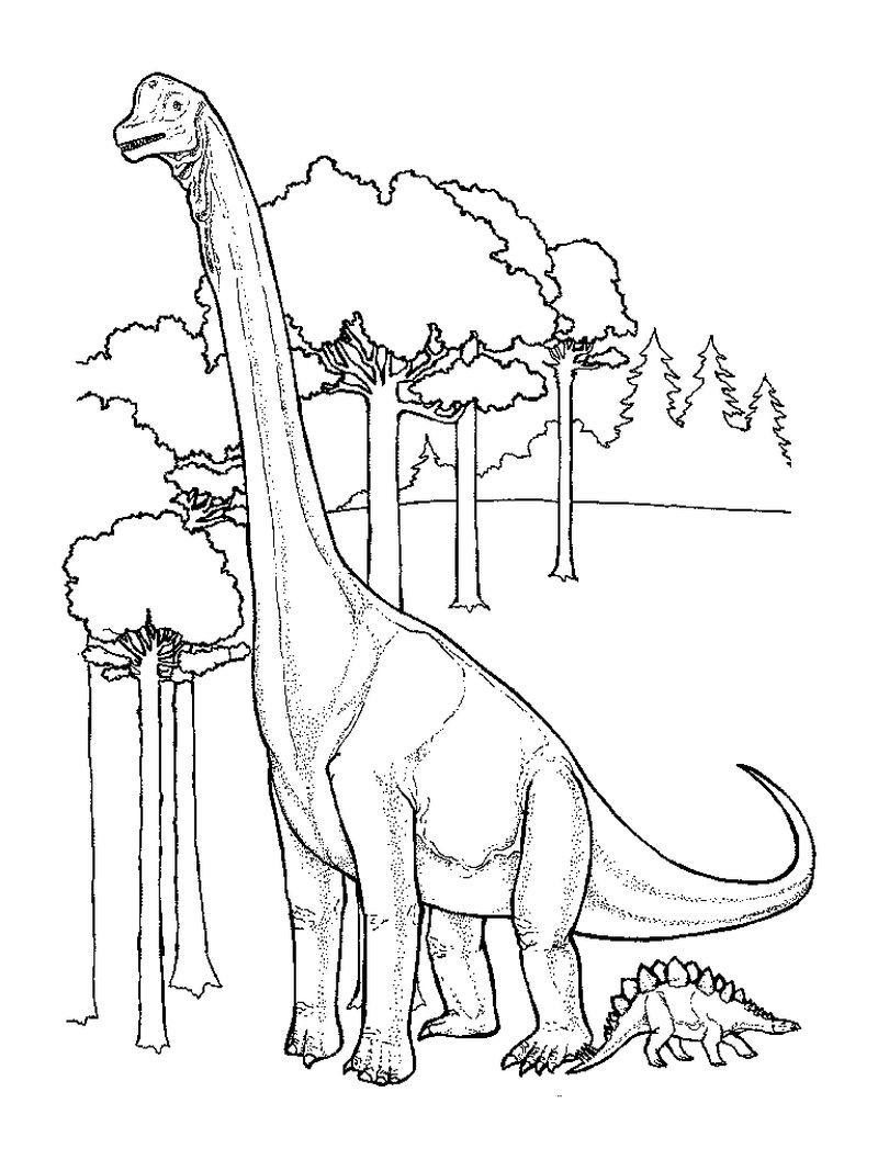 Dinosaurs Coloring Page