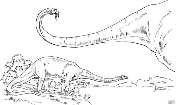 Diplodocus Dinosaur Coloring Page