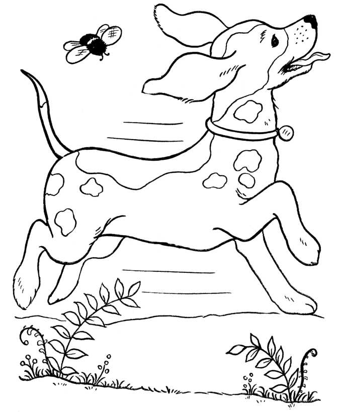 Dog Animal Coloring Pages