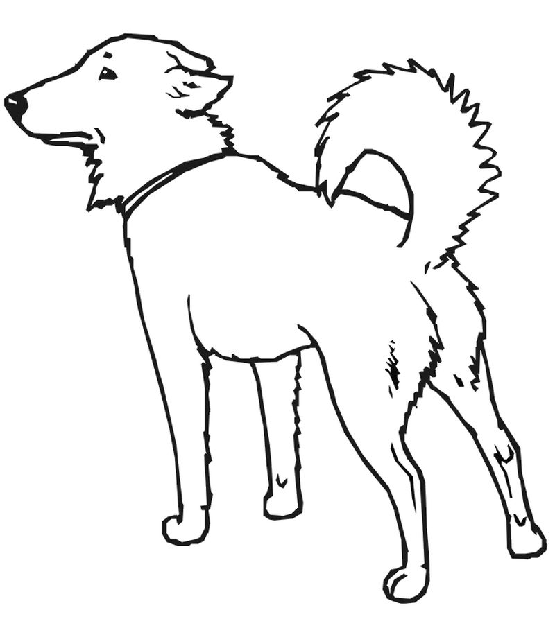 Dog Coloring Pages Printable