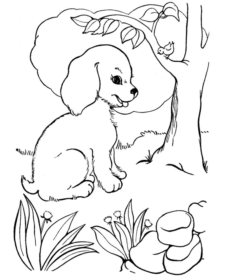 Dog Coloring Pages To Print