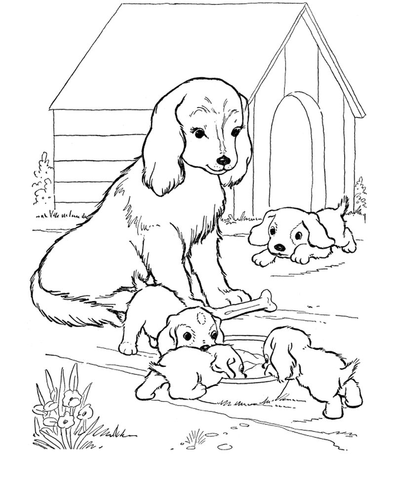 Dog House Coloring Pages