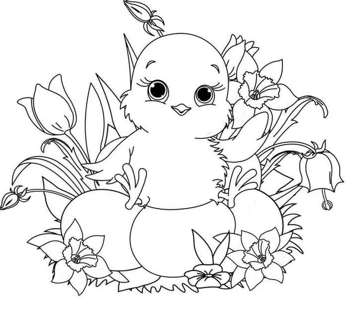 Easter Chick Coloring Pages Printable