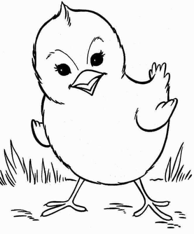 Easter Chicken Coloring Page