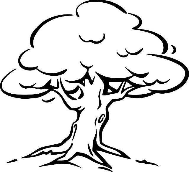 Easy Coloring Pages Tree