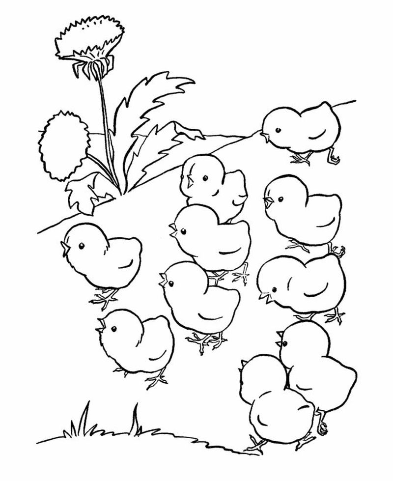 Farm Animal Coloring Pages Printable