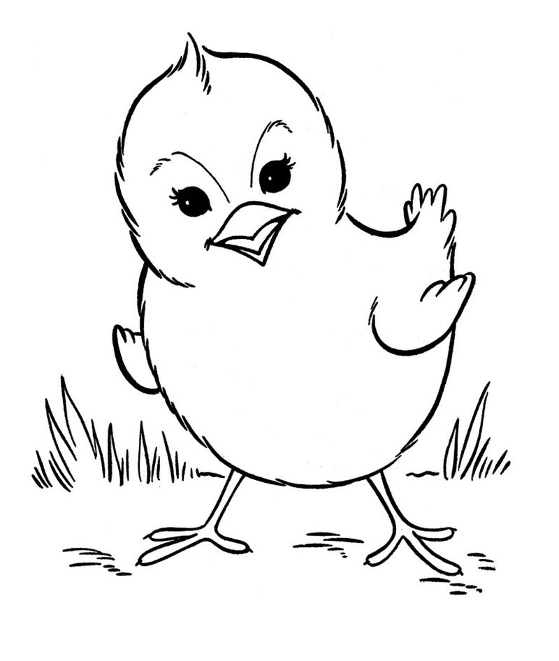 Farm Coloring Pages Pdf