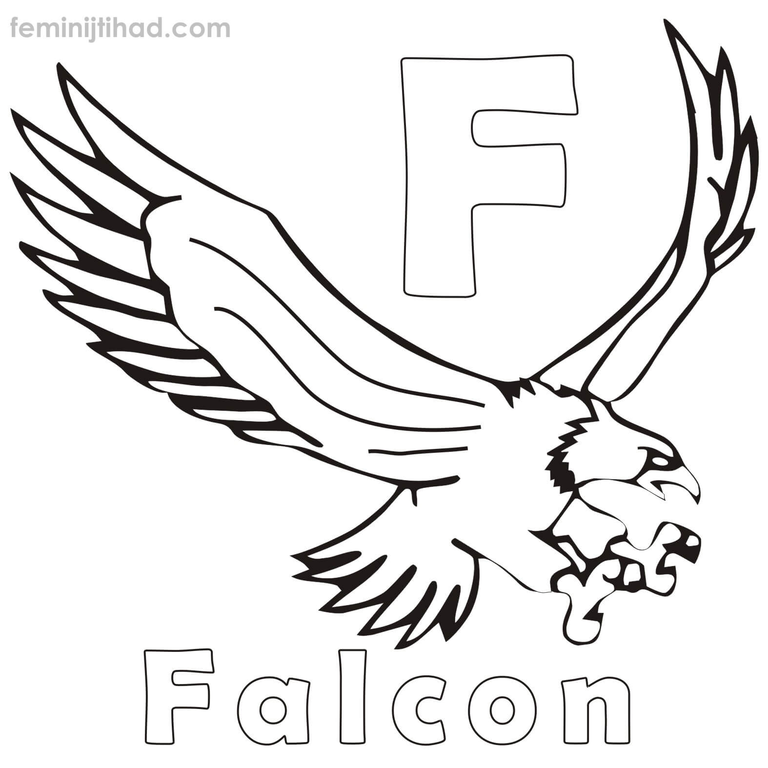 Flying Falcon Coloring Page