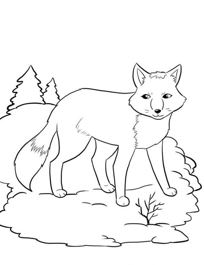 Fox Animal Coloring Page