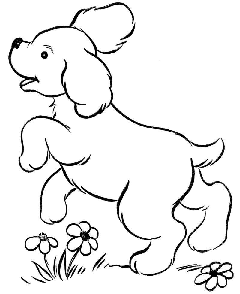 Free Dog Coloring Pages