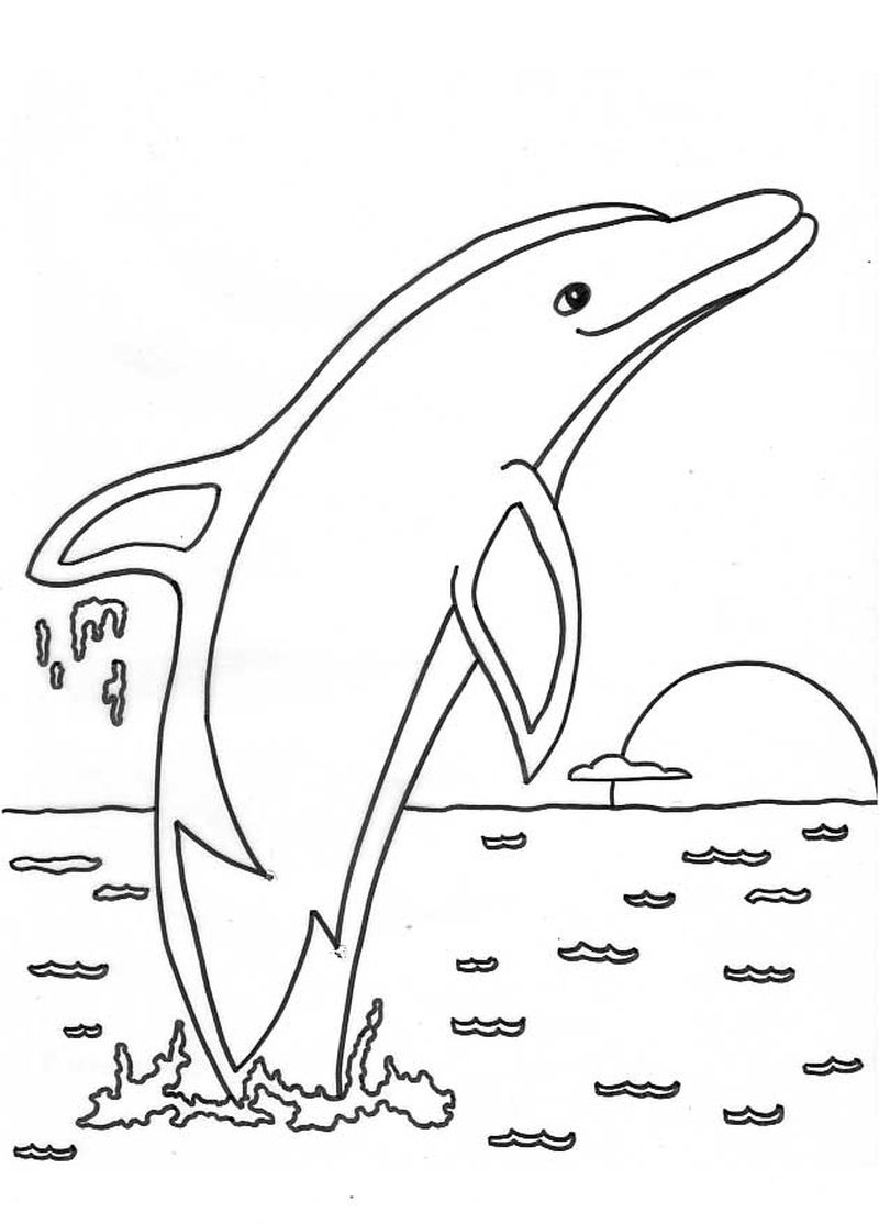 Free Dolphin Coloring Pages