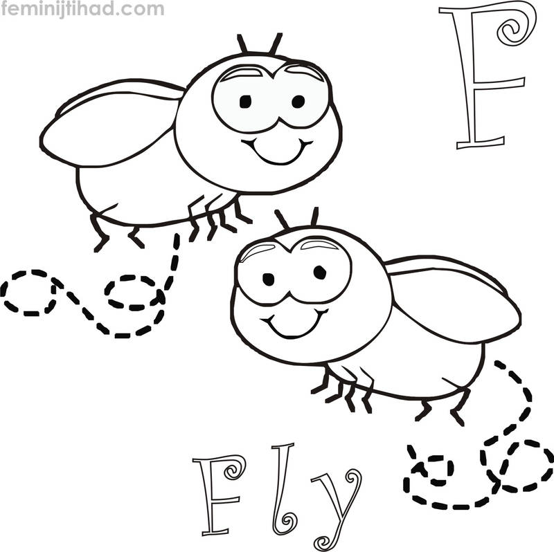 Free Fly Coloring Pages Download