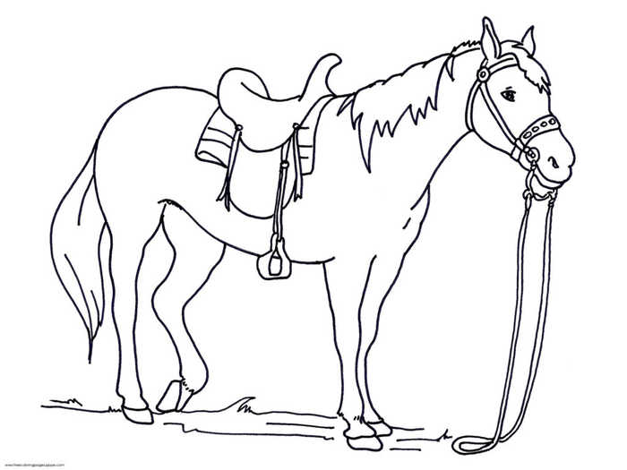 Free Horse Coloring Pages Printable