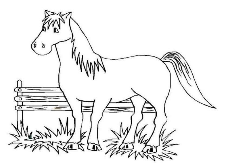 Free Horse Coloring Pages