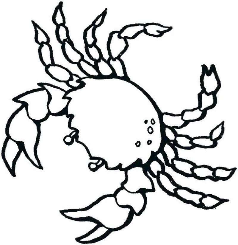 Free Ocean Life Coloring Pages