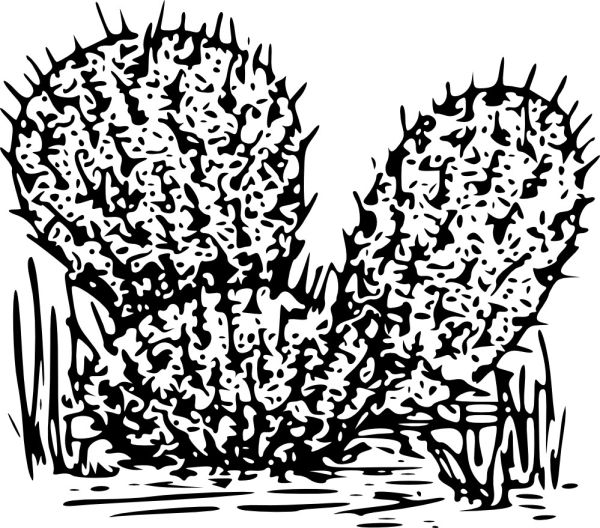 Free Printable Cactus Coloring Pages