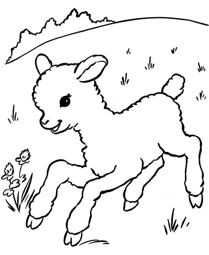 Free Printable Farm Animal Habitat Coloring Pages