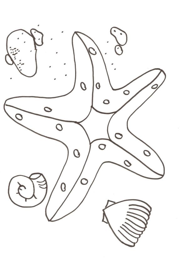 Free Printable Starfish Coloring Pages