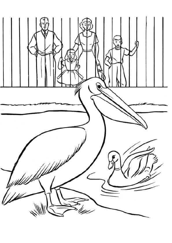 Free Printable Zoo Coloring Pictures